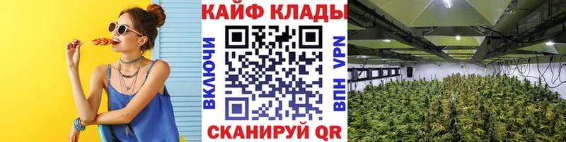Все наркотики Апатиты ГАШ  APVP  Мефедрон  NBOMe  Марихуана 