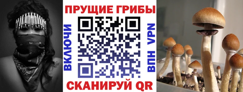 Галлюциногенные грибы GOLDEN TEACHER  Апатиты 